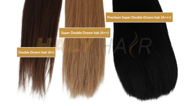 What Does Double Drawn Mean In Human Hair Wigs?